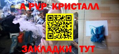 apvp Кингисепп