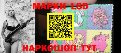 apvp Кингисепп