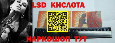 apvp Кингисепп