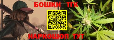 apvp Кингисепп